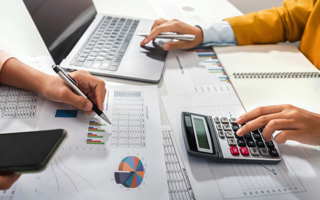 Professional Accountants for Small Businesses Delivering Growth-Focused Financial Support